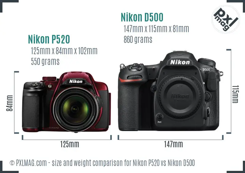 Nikon P520 vs Nikon D500 size comparison