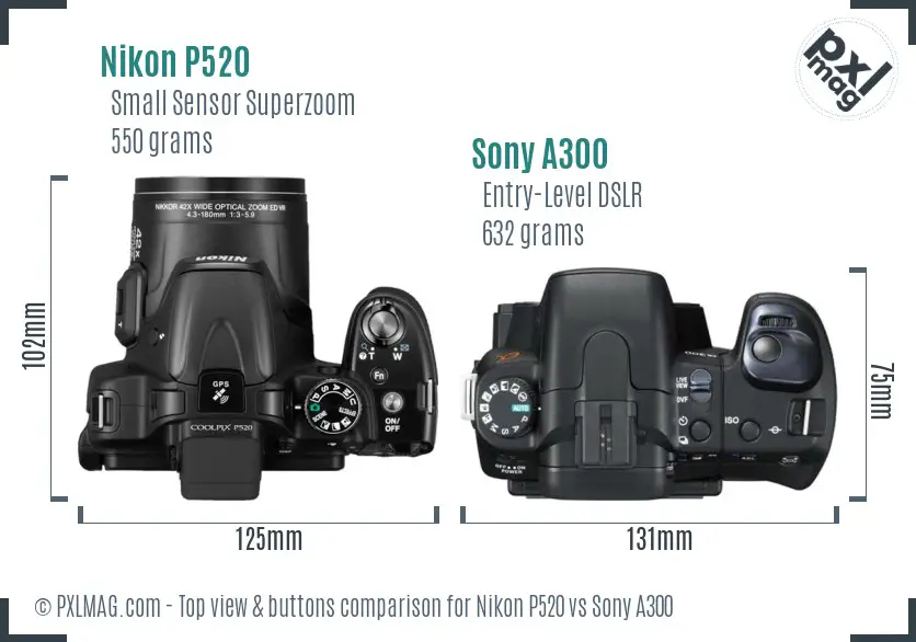 Nikon P520 vs Sony A300 top view buttons comparison Nikon P520 vs Sony A300 top view buttons comparison
