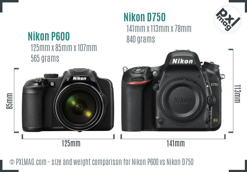 Nikon P600 vs Nikon D750 size comparison