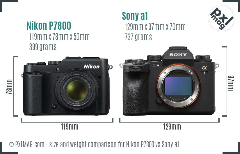 Nikon P7800 vs Sony a1 size comparison