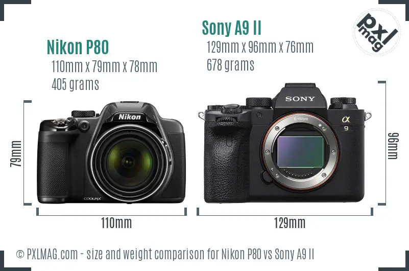 Nikon P80 vs Sony A9 II size comparison