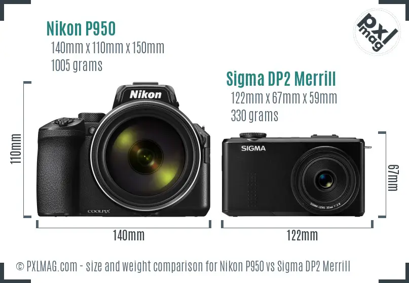 Nikon P950 vs Sigma DP2 Merrill size comparison