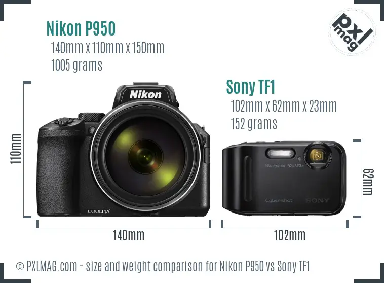 Nikon P950 vs Sony TF1 size comparison