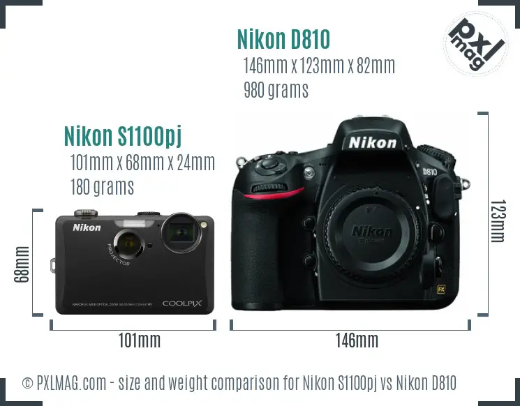 Nikon S1100pj vs Nikon D810 size comparison