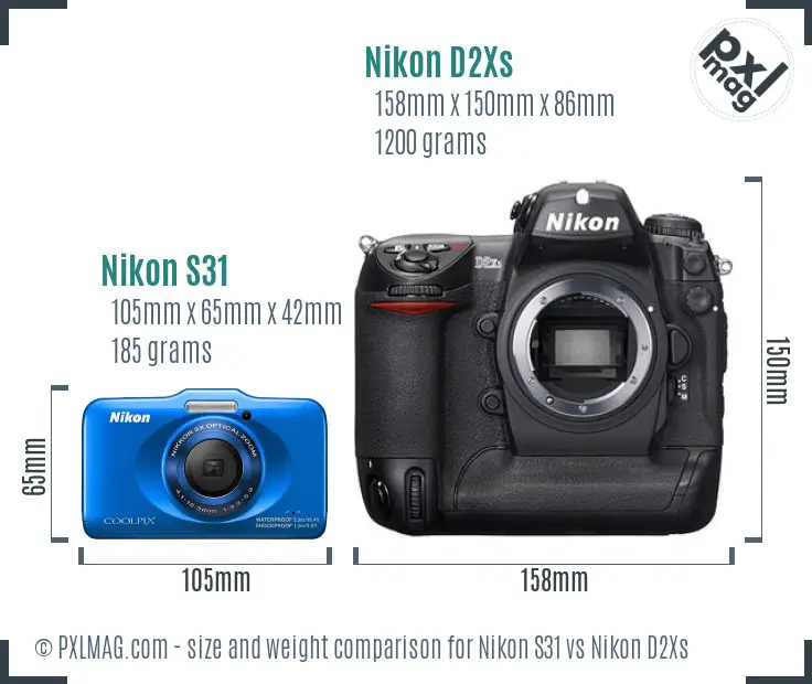 Nikon S31 vs Nikon D2Xs size comparison