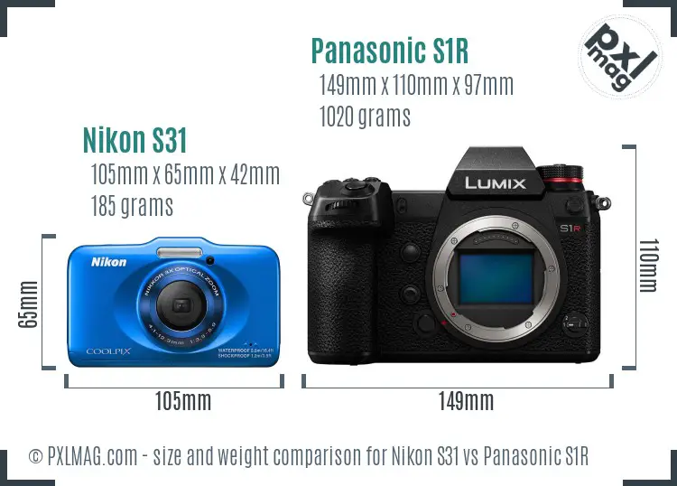 Nikon S31 vs Panasonic S1R size comparison