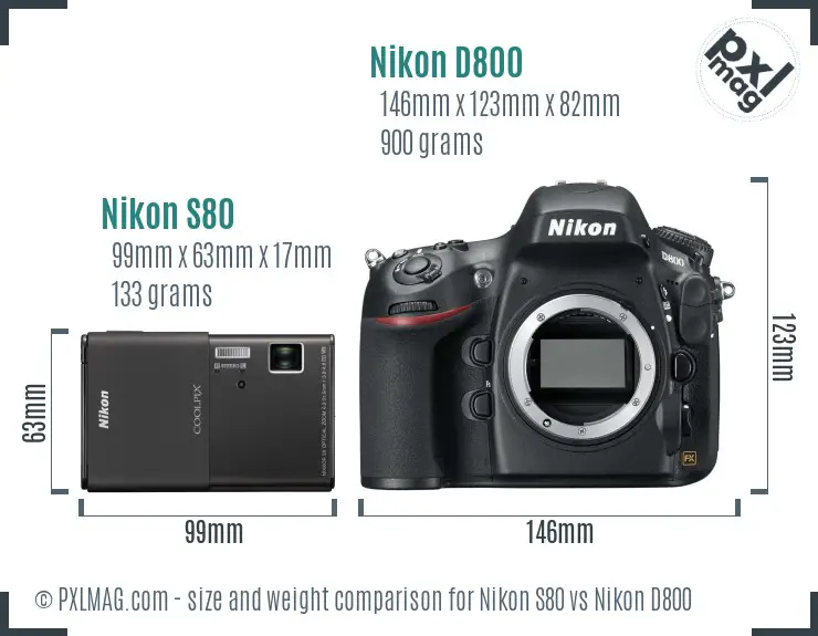 Nikon S80 vs Nikon D800 size comparison