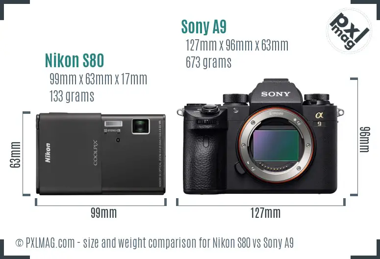 Nikon S80 vs Sony A9 size comparison