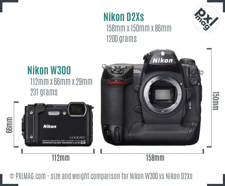 Nikon W300 vs Nikon D2Xs size comparison