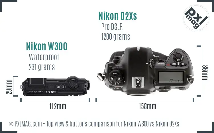 Nikon W300 vs Nikon D2Xs top view buttons comparison