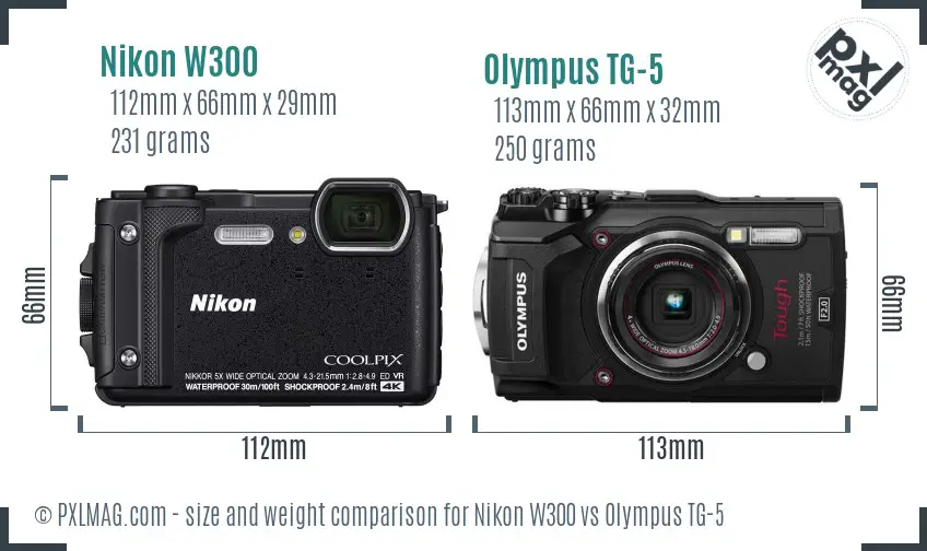 Nikon W300 vs Olympus TG-5 size comparison