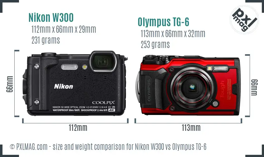 Nikon W300 vs Olympus TG-6 size comparison