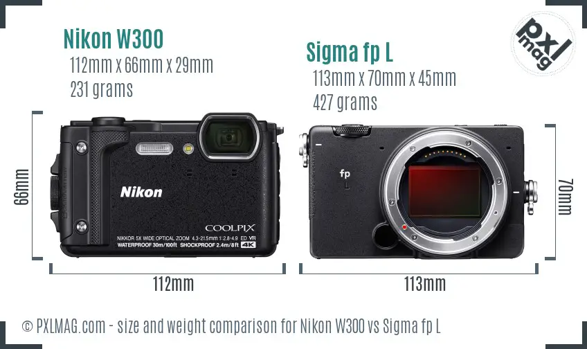 Nikon W300 vs Sigma fp L size comparison