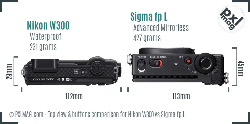 Nikon W300 vs Sigma fp L top view buttons comparison
