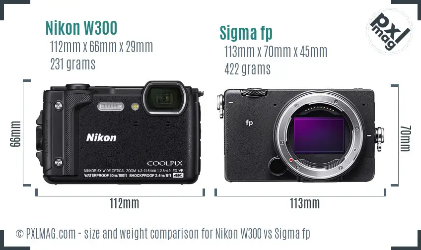 Nikon W300 vs Sigma fp size comparison