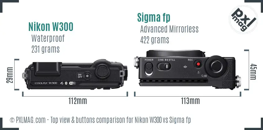 Nikon W300 vs Sigma fp top view buttons comparison