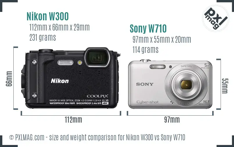 Nikon W300 vs Sony W710 size comparison Nikon W300 vs Sony W710 size comparison