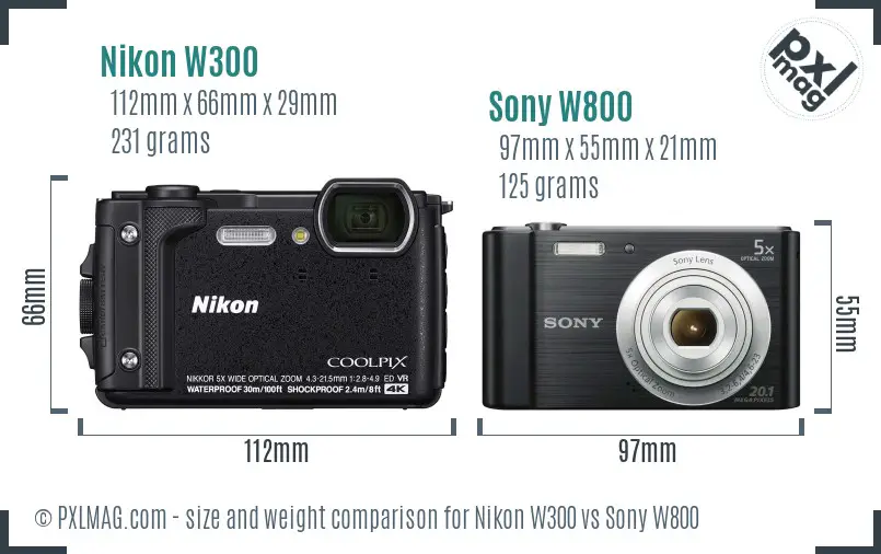 Nikon W300 vs Sony W800 size comparison Nikon W300 vs Sony W800 size comparison