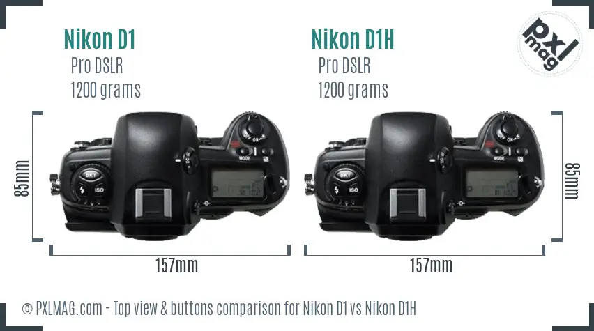 Nikon D1 vs Nikon D1H top view buttons comparison