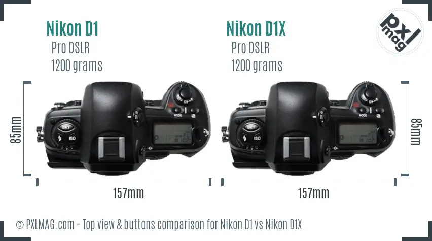 Nikon D1 vs Nikon D1X top view buttons comparison