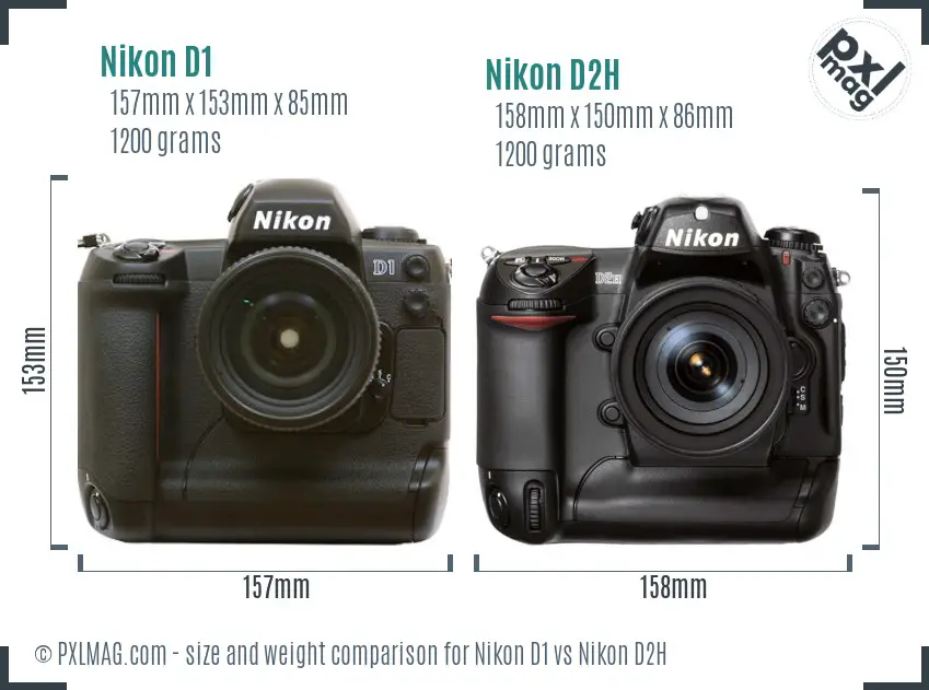 Nikon D1 vs Nikon D2H size comparison