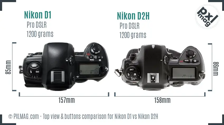 Nikon D1 vs Nikon D2H top view buttons comparison