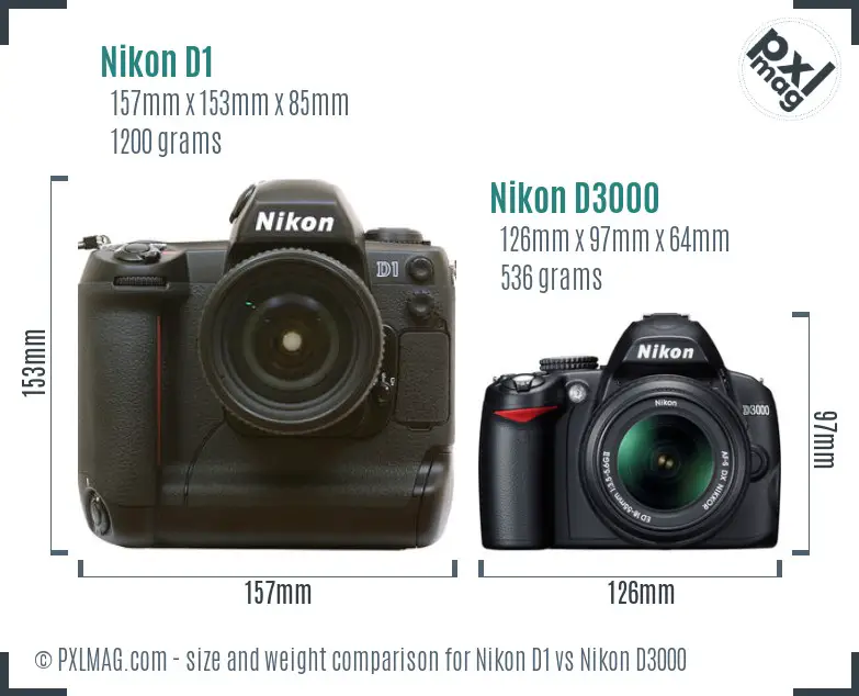 Nikon D1 vs Nikon D3000 size comparison