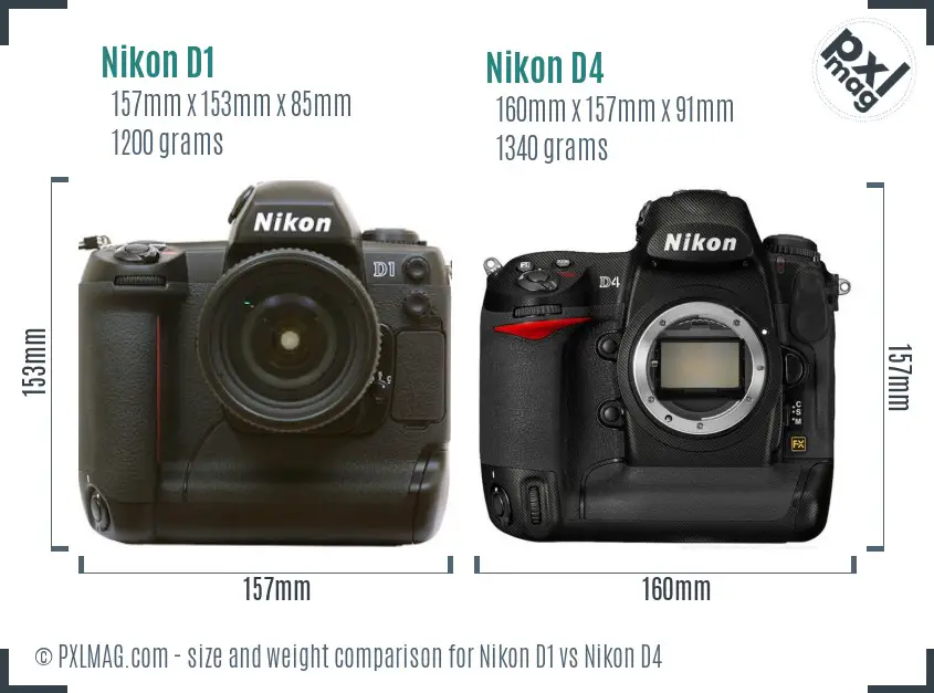 Nikon D1 vs Nikon D4 size comparison