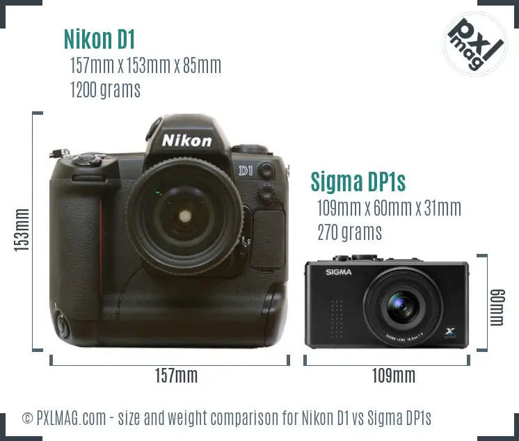 Nikon D1 vs Sigma DP1s size comparison