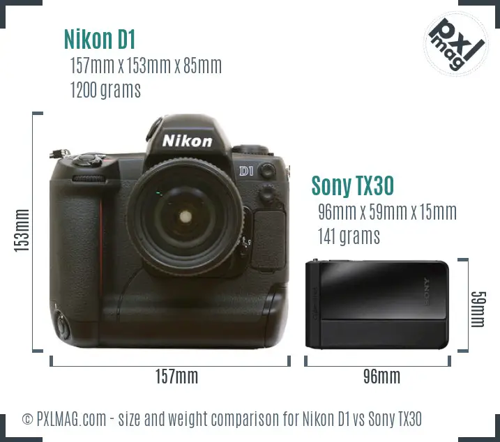 Nikon D1 vs Sony TX30 size comparison