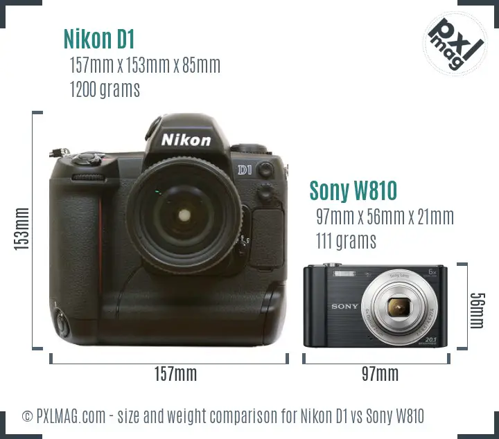 Nikon D1 vs Sony W810 size comparison