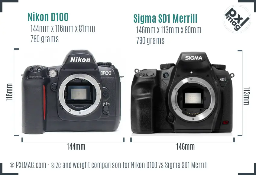 Nikon D100 vs Sigma SD1 Merrill size comparison
