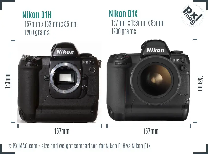 Nikon D1H vs Nikon D1X size comparison