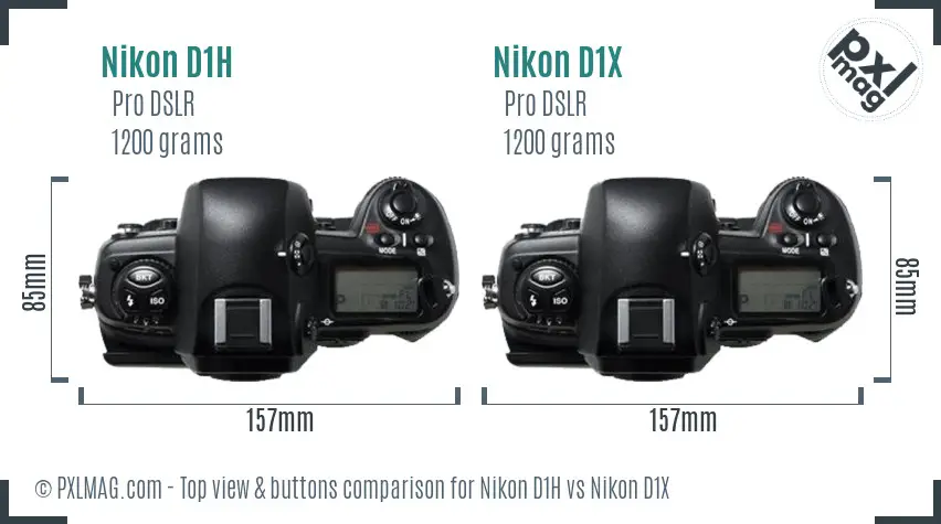 Nikon D1H vs Nikon D1X top view buttons comparison