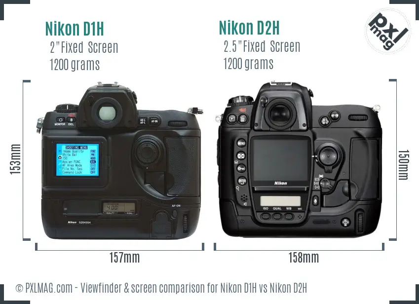 Nikon D1H vs Nikon D2H Screen and Viewfinder comparison