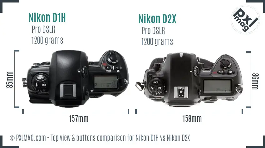 Nikon D1H vs Nikon D2X top view buttons comparison
