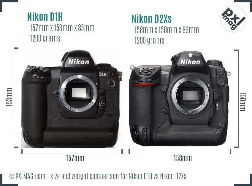 Nikon D1H vs Nikon D2Xs size comparison