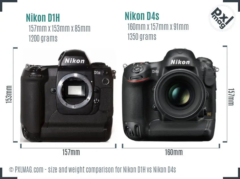 Nikon D1H vs Nikon D4s size comparison