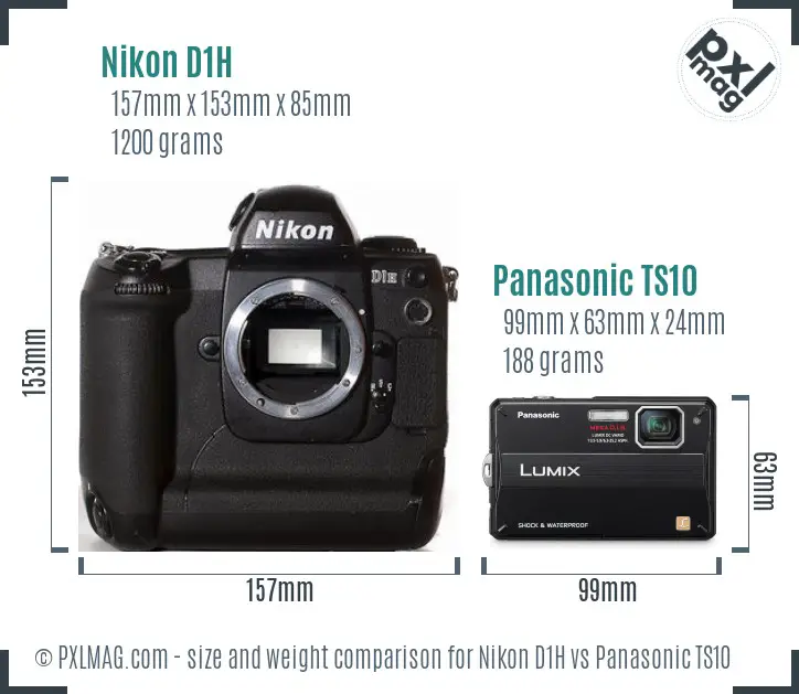 Nikon D1H vs Panasonic TS10 size comparison