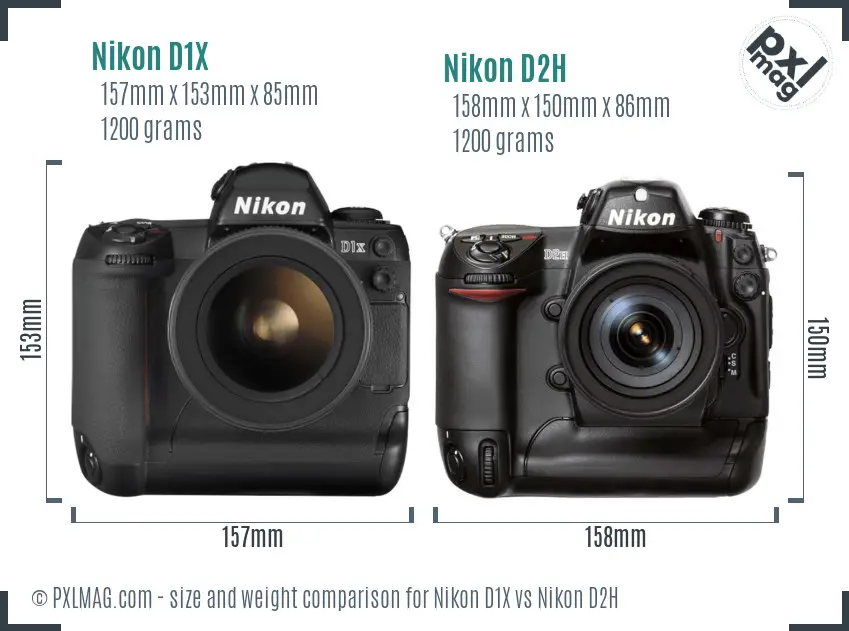 Nikon D1X vs Nikon D2H size comparison