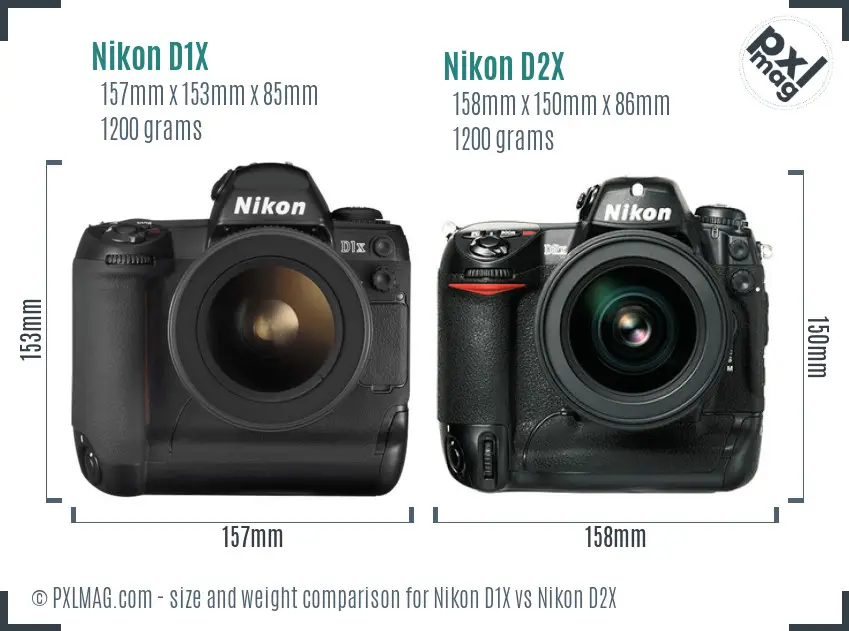 Nikon D1X vs Nikon D2X size comparison