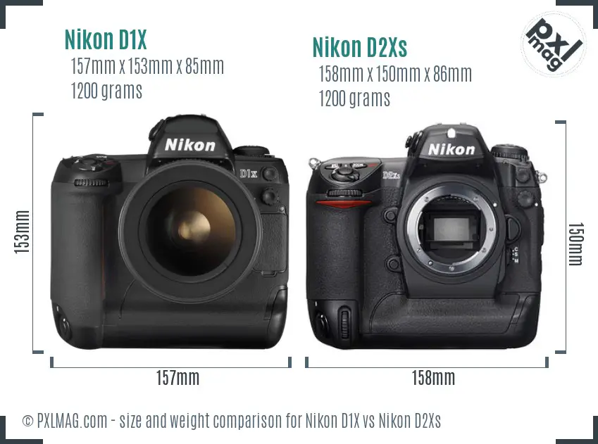 Nikon D1X vs Nikon D2Xs size comparison