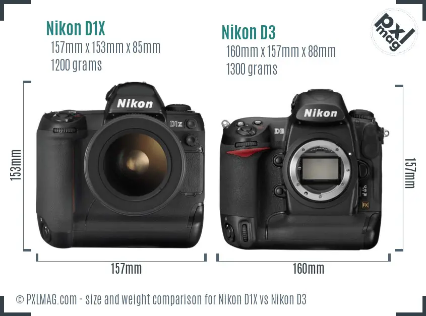 Nikon D1X vs Nikon D3 size comparison
