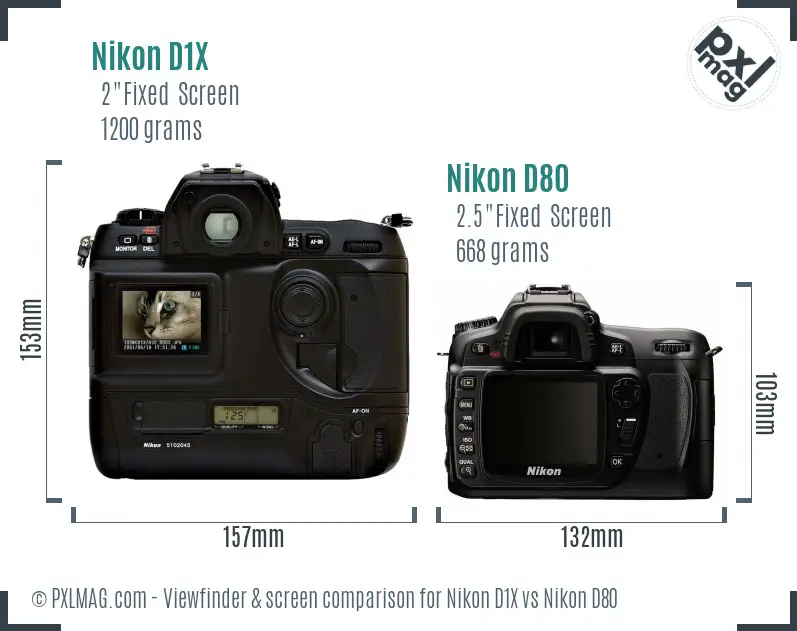 Nikon D1X vs Nikon D80 Screen and Viewfinder comparison