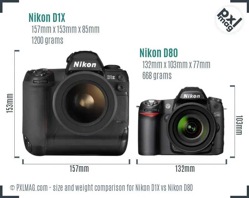 Nikon D1X vs Nikon D80 size comparison