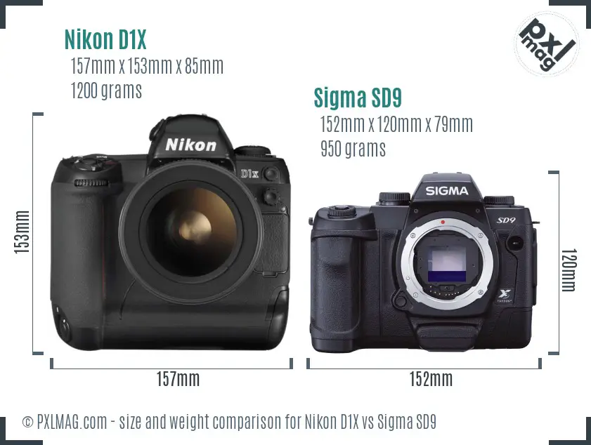 Nikon D1X vs Sigma SD9 size comparison
