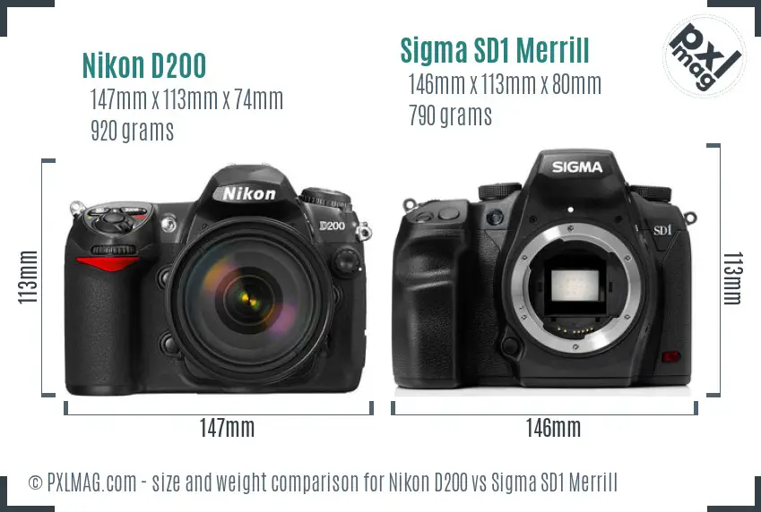 Nikon D200 vs Sigma SD1 Merrill size comparison