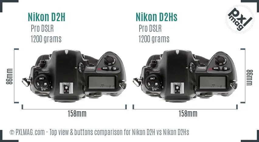 Nikon D2H vs Nikon D2Hs top view buttons comparison