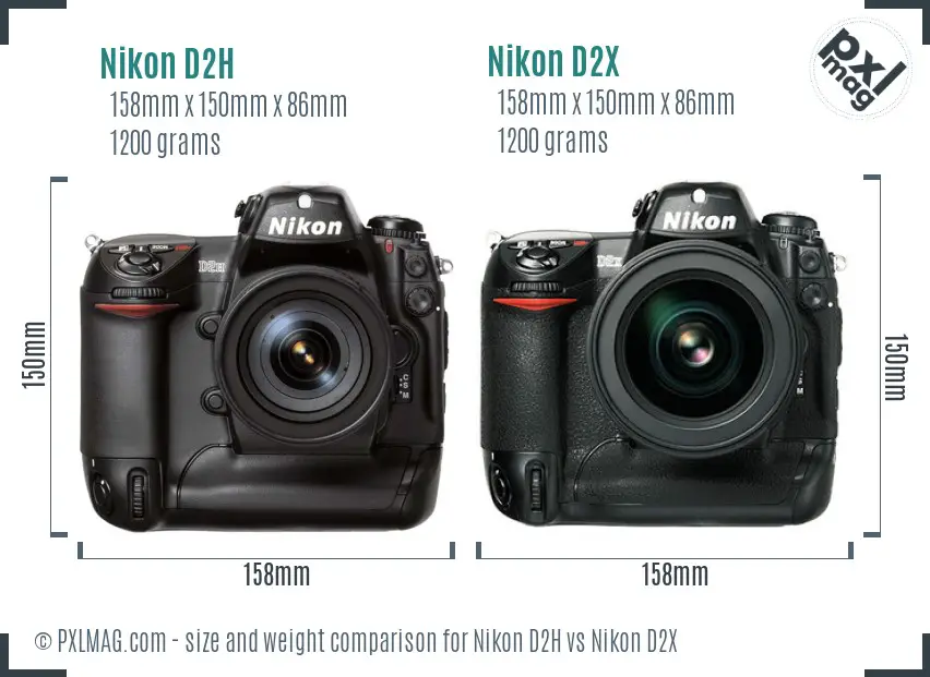 Nikon D2H vs Nikon D2X size comparison
