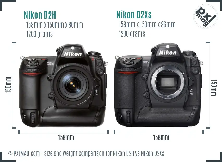 Nikon D2H vs Nikon D2Xs size comparison